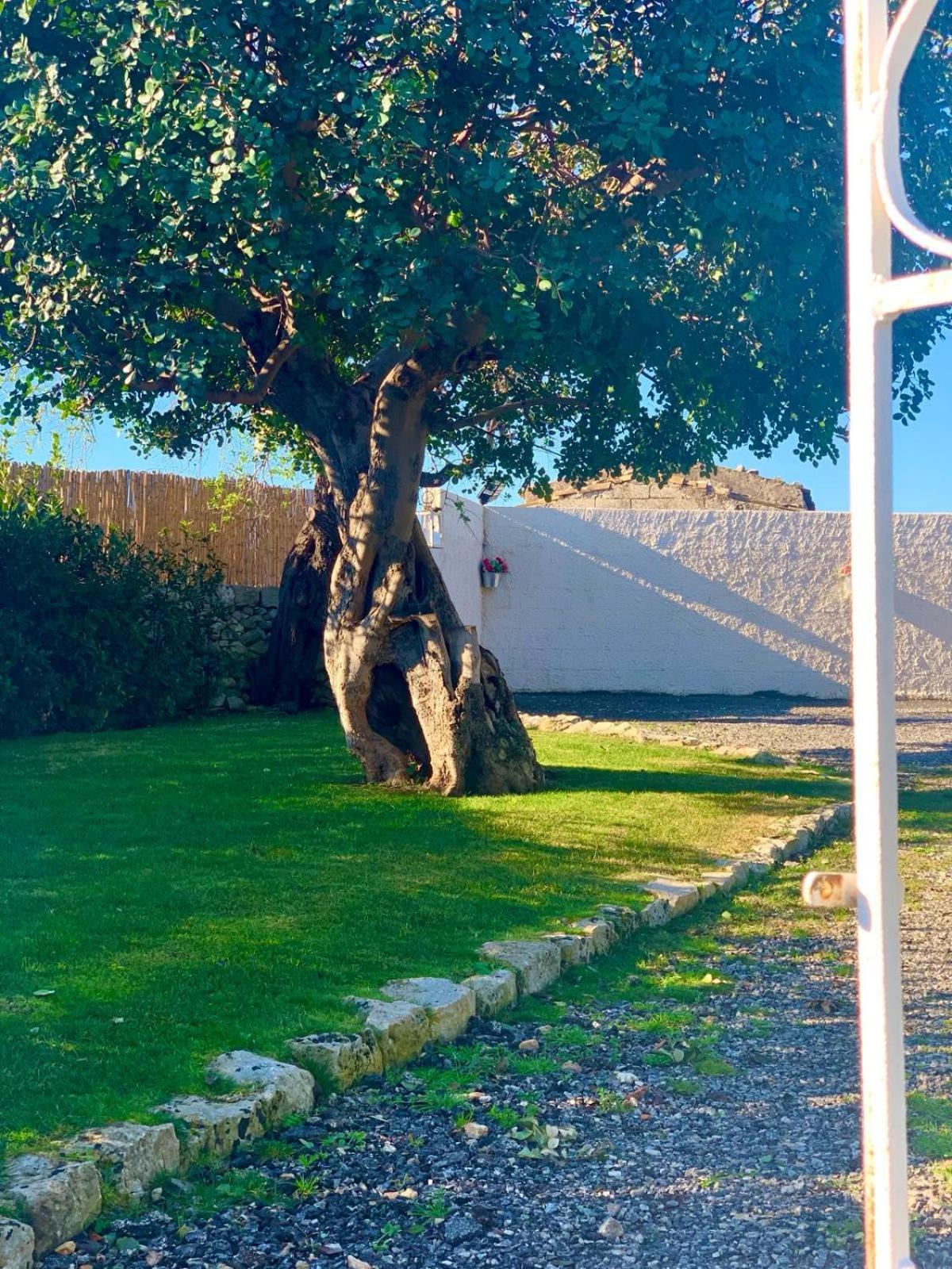 モーディカ Casa Daviriヴィラ エクステリア 写真